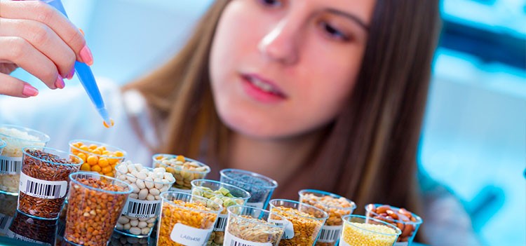 All you should know about MSc Food Science and Nutrition Course