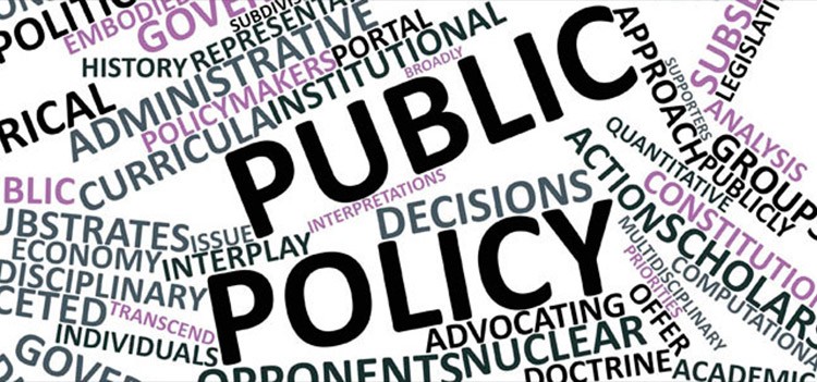Career and Job roles after MA Public Policy Course