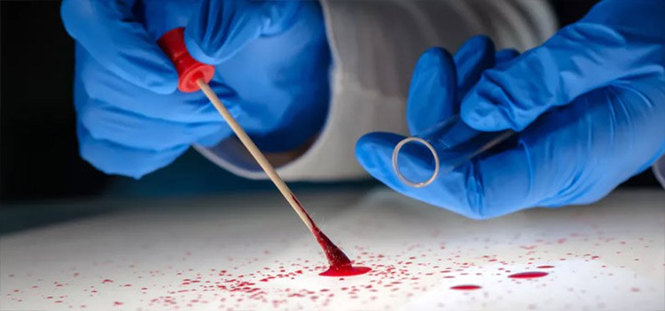 All you should know about MSc Forensic Course