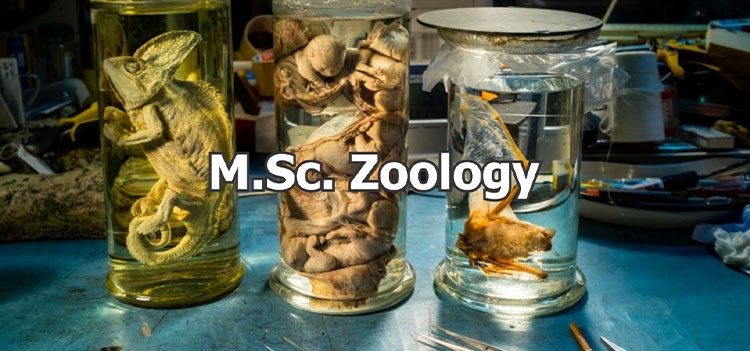 All you should know about MSc Zoology Course