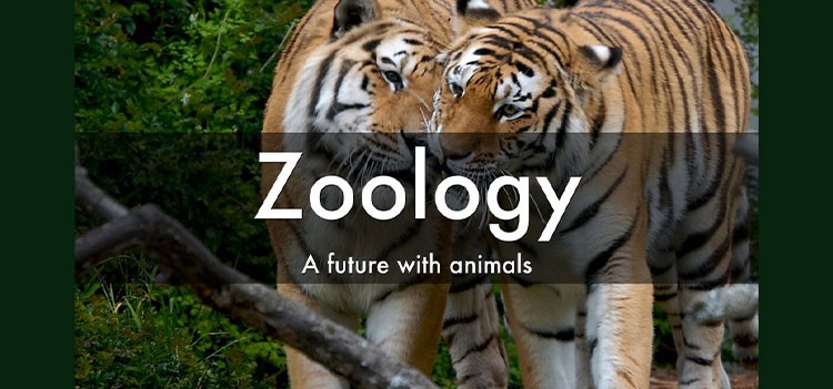 BSc Zoology Colleges in Bangalore