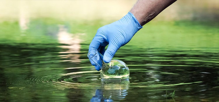 All you should know about BSc Environmental Science Course