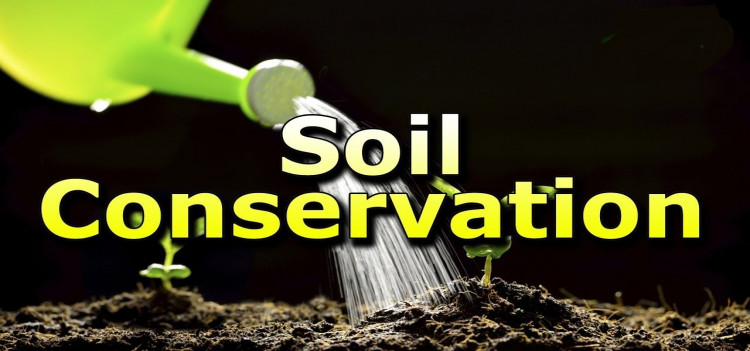 Soil conservation lessons to be included in Karnataka school textbooks